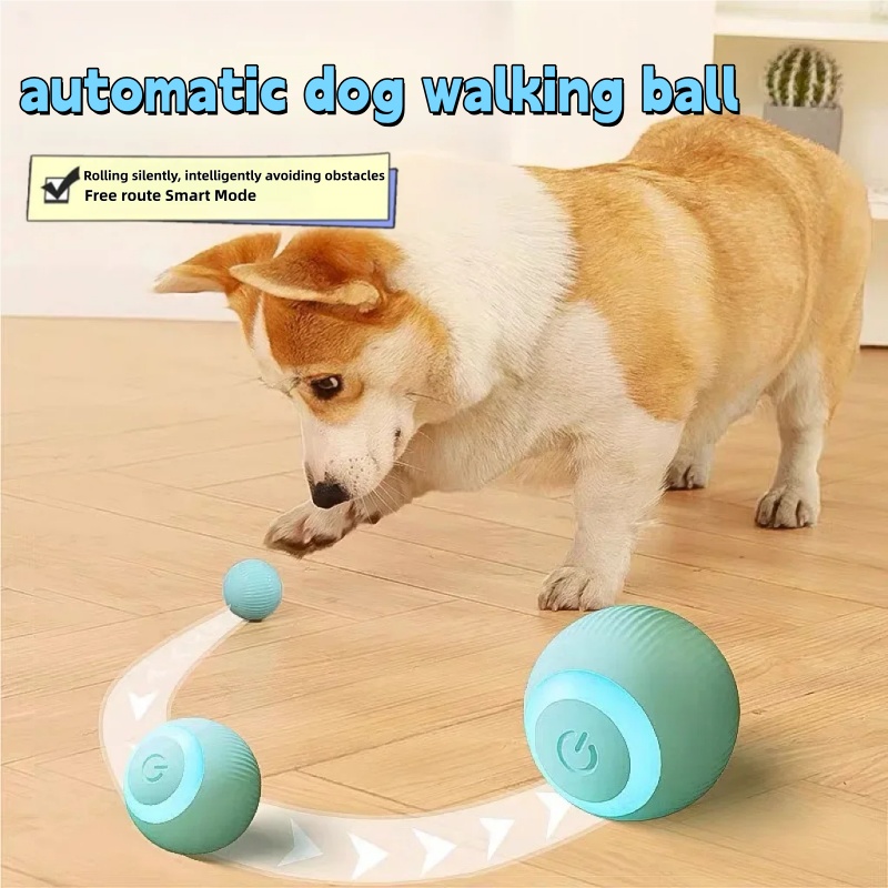 고양이 인터랙티브 볼 스마트 펫 고양이 장난감 실내 자 - Electronics Gadgets Wholesale 리뷰 및 가격