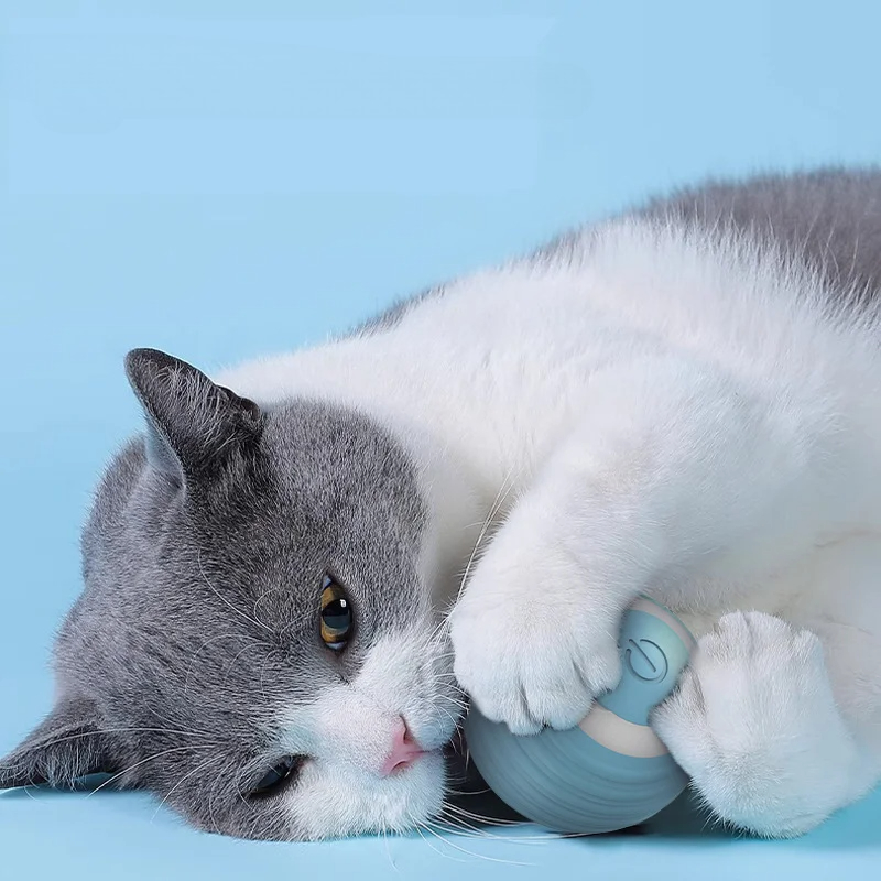 고양이 인터랙티브 볼 스마트 고양이 장난감, 실내 자동 - Electronics Gadgets Wholesale 리뷰 및 가격